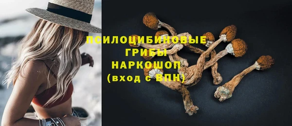 PSILOCYBIN Бугульма