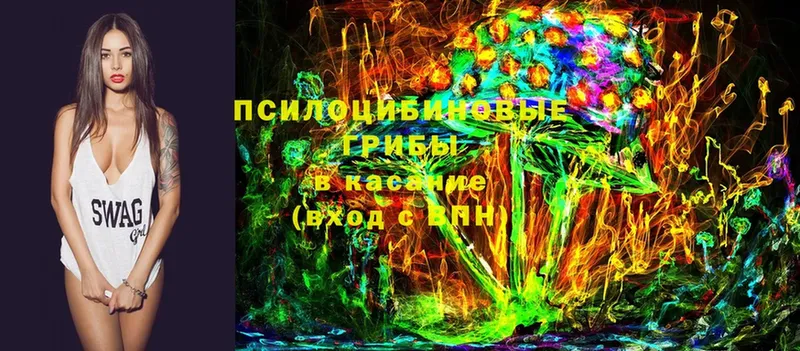 Галлюциногенные грибы прущие грибы  Власиха 