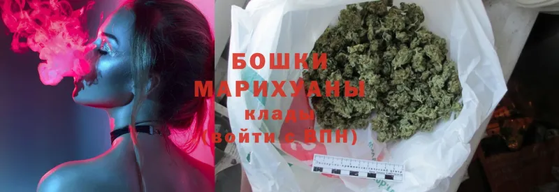 Конопля Bruce Banner  Власиха 